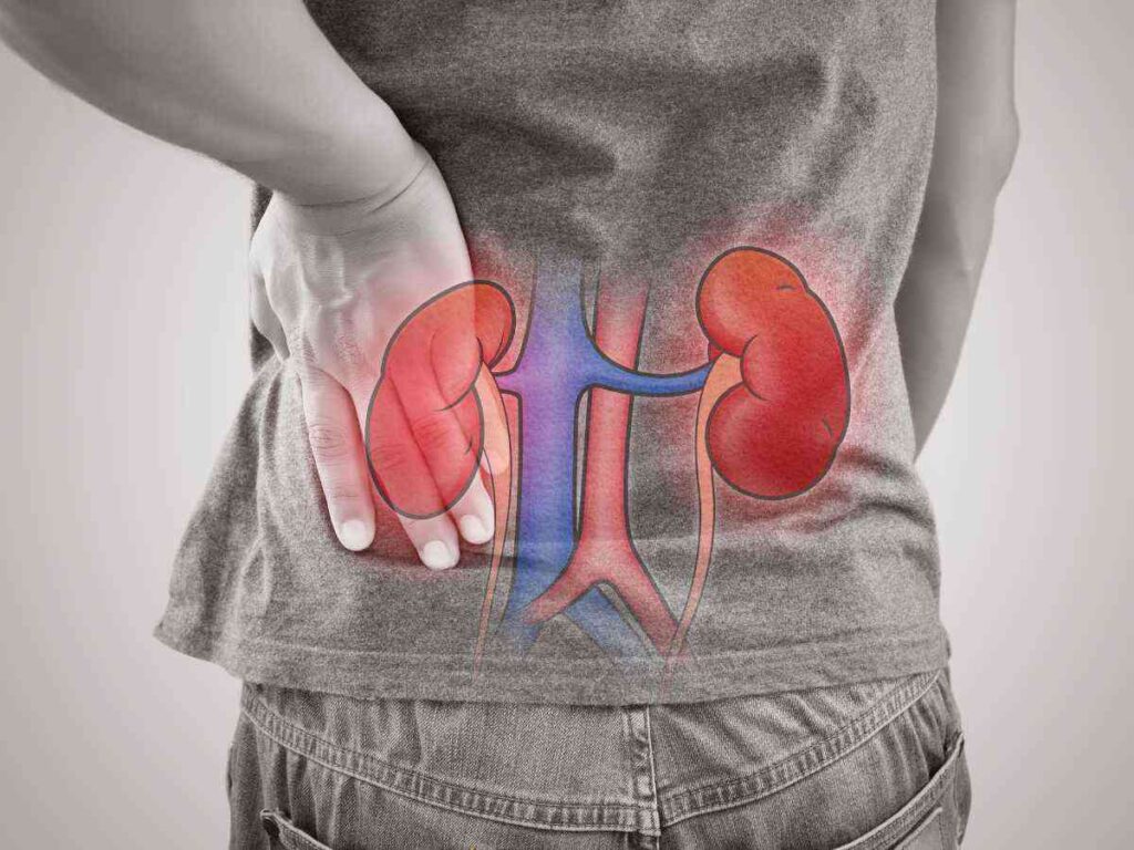 kidney failure due to high salt intake