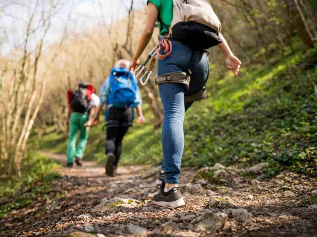 friends hiking in the jungle